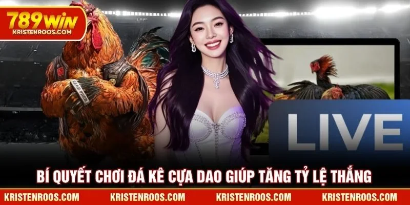 Bí quyết chơi đá kê cựa dao giúp tăng tỷ lệ thắng