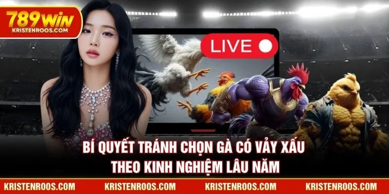 Bí quyết tránh chọn gà có vảy xấu theo kinh nghiệm lâu năm