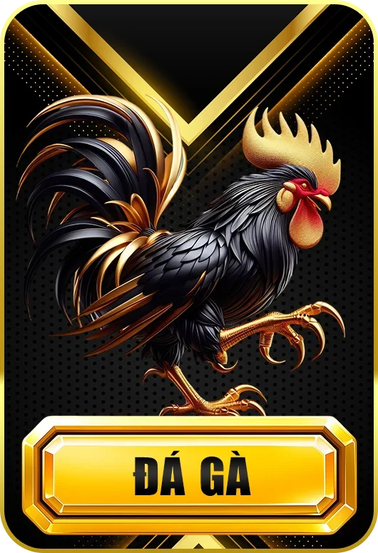 Đá gà 789win