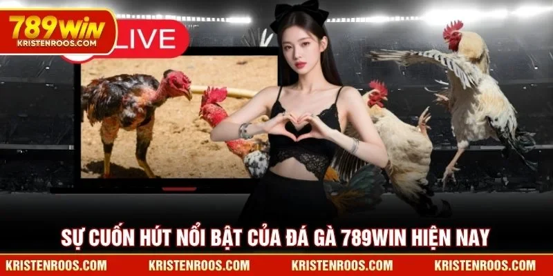 Sự cuốn hút nổi bật của đá gà 789WIN hiện nay