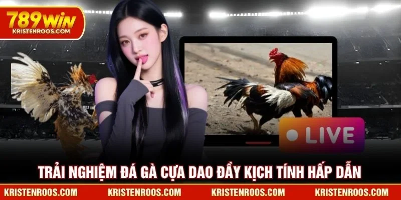 Trải nghiệm đá gà cựa dao đầy kịch tính hấp dẫn