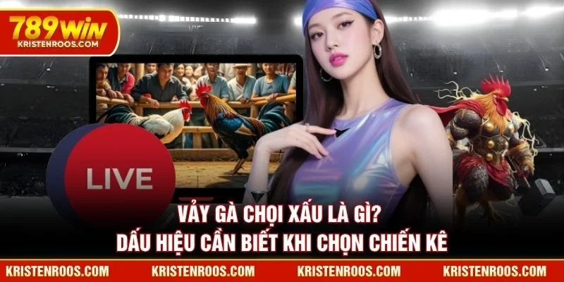 Vảy Gà Chọi Xấu Là Gì? Dấu Hiệu Cần Biết Khi Chọn Chiến Kê